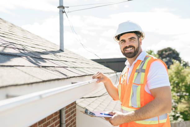 Best Metal Roofing Contractor  in New Lenox, IL