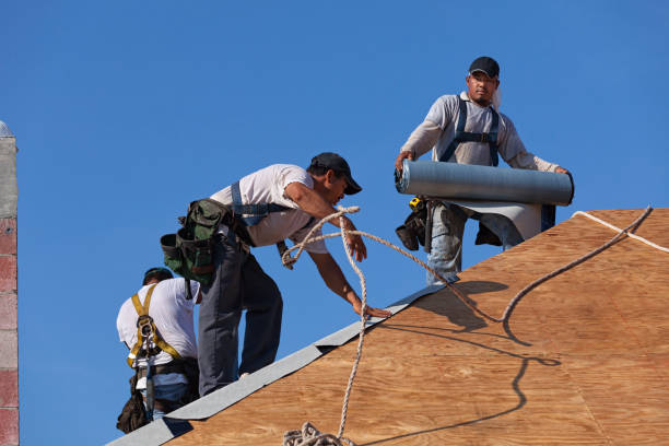 Best Commercial Roofing Services  in New Lenox, IL
